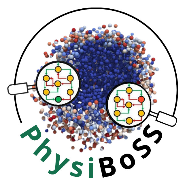 PhysiBoSS
